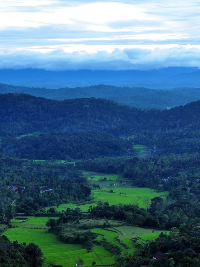 A Weekend Getaway to Coorg: The Scotland of India