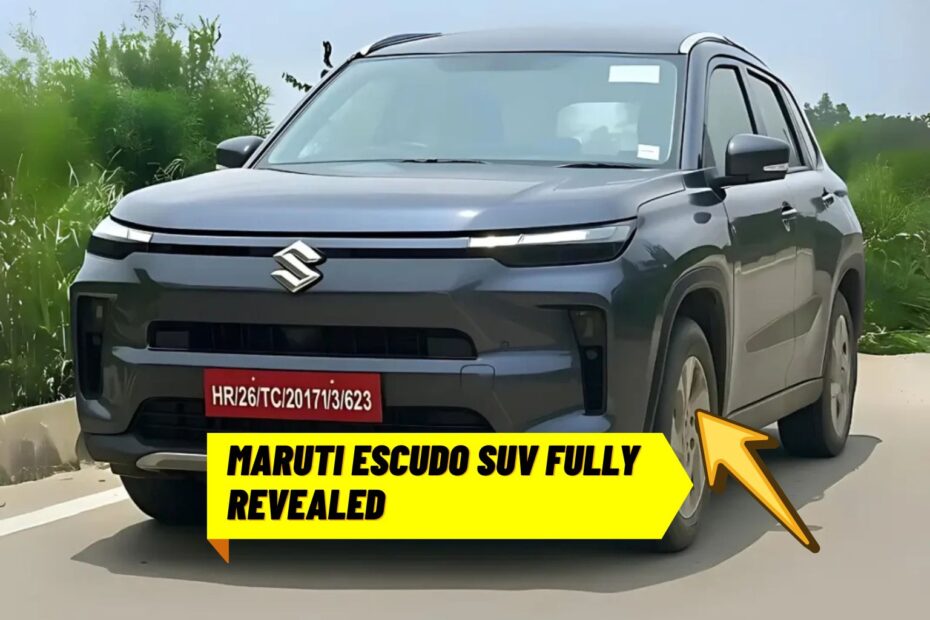 Maruti Escudo SUV Fully Revealed